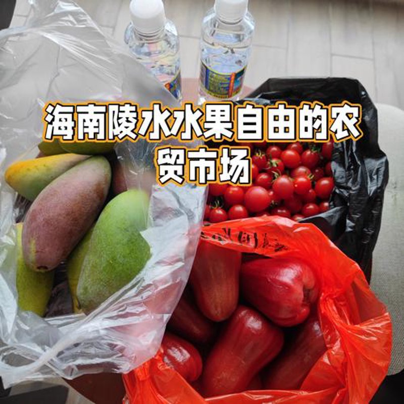 海口商贸新气象：从传统到现代的蜕变